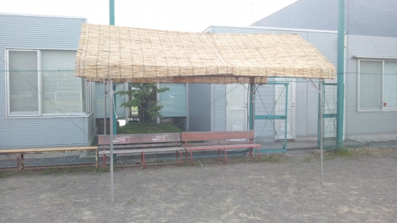 日陰ができました